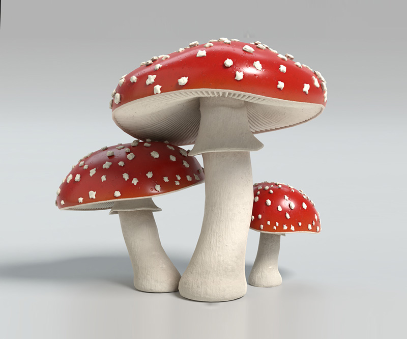 amanita